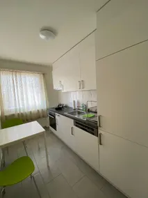 Entire Guest House in Center of Basel - Image 3
