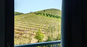 Agriturismo Demarie - Image 5