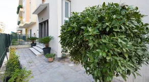 L'ANGOLO DI OLI' - Image 5