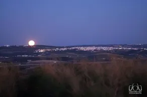 SALSIPUEDES - Image 5
