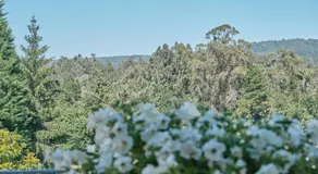 Peregrina Pension 3 - Image 4