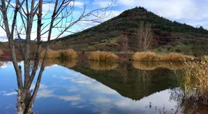 Proche Lac du Salagou, Chambre agréable avec salle d'eau et WC privé - Image 3