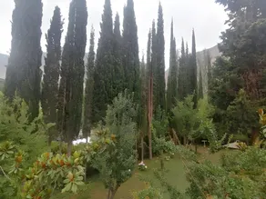 Springfield Resort Gilgit - Image 2