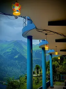 Cafekush tosh - Image 3