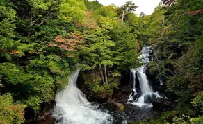 Nikko Dream House - Image 5