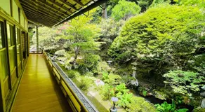 高野山 宿坊 宝城院 -Koyasan Shukubo Hojoin- - Image 5