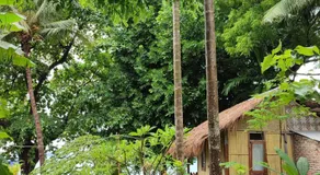 Lena house Flores - Image 5