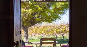 Finca La Pichona - Image 5