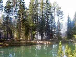 Murrenkolo - Image 4