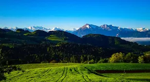 Bergblick - Image 5