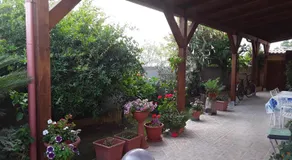 Il Fenicottero Elmas - Image 3