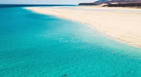 Tropical Paradise - Image 5