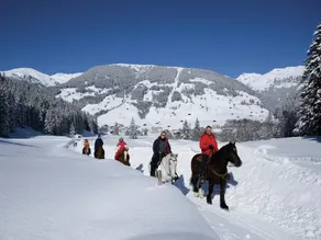 Dom Zell am Ziller Lyžiarsky vlek - Image 5