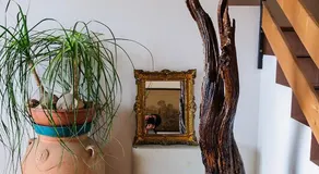 Agriturismo Villa Serena - Image 5