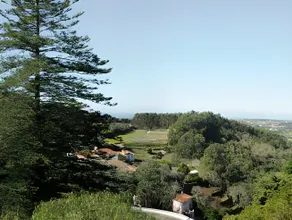 Pendoa Sintra Collection-Soft Opening - Image 5