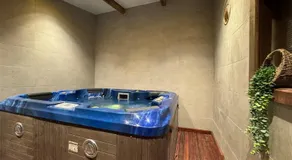 Maison Moana- Jaccuzi - Groupama Stadium LDLC Arena Eurexpo - Image 5