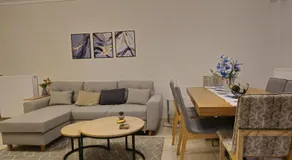 Pilea Comfy Home - Image 3