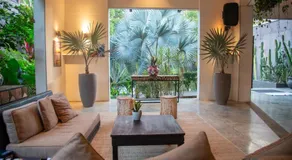 The White Palms of Nosara - Image 3