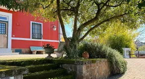 LA TERRAZZA SU ROMA - Image 4