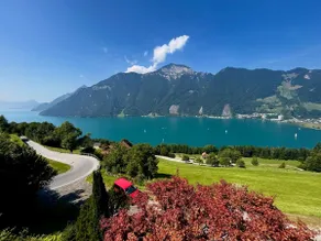 Panorama Lakeside Retreat Seelisberg - Image 5