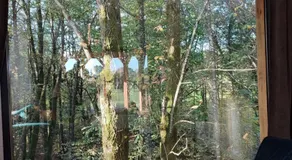 Le Domaine des Roches' L - Image 2