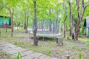 Jungle Lodges And Resorts- Sakrebyle Elephant Camp - Image 2