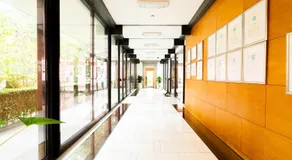 BIO Hotel - Hotel Quinta da Serra - Image 4