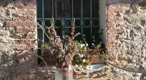 B&B CM Ranch - Image 5