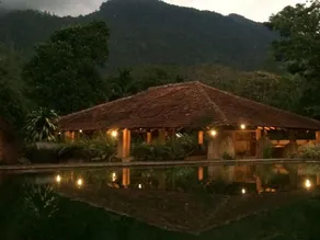 Rainforest Edge - Image 3