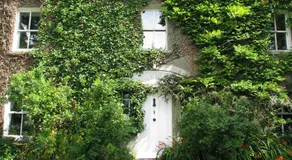 Cullintra House - Image 3
