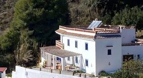 Algarrobo Azul - Image 3