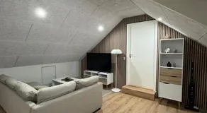 The Wild Swan - Big house with many beds in Odense - Free Parking - Image 2