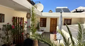 Riad Safina - Image 4