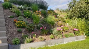 Lillys Garden - Image 4