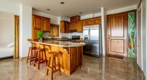 Lake Arenal Condos - Image 4