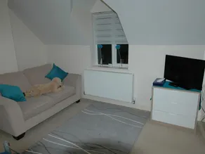 Park House - Image 4
