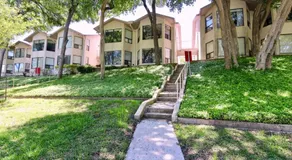 Comal River Bliss - Image 4