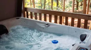 Cheerful Two Bdrm Cabin with Hot Tub & Pet Friendly - Image 3