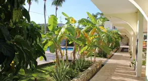 Hotel Magic Tropical - Image 4