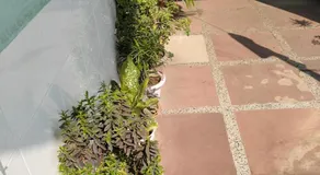 Sachin Yadav Homestay - Image 5