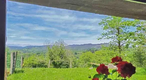 La Casa de la Vieja - Image 3
