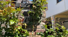 Altes Weingut Bröhl - Image 5