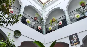 Riad Sijane - Image 4