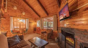 Forest Cabin 4 Cowboys Dream - Image 3
