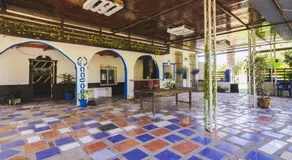 Cubo's Finca La Parra - Image 3
