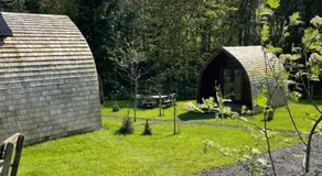 Willow Pod - Image 3