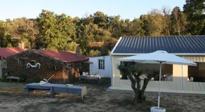 Quinta da Retorta - Image 5