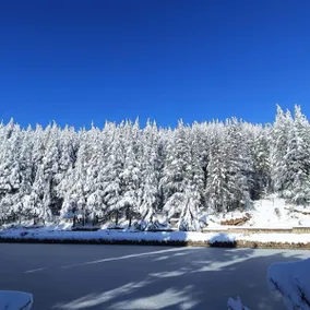 The Wilderness, Narkanda ,Shimla - Image 5