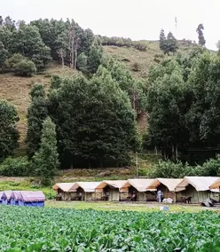 The Vinshar Sissu Huts - Image 2