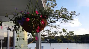 Oceanfront Garden Cottage - Image 4